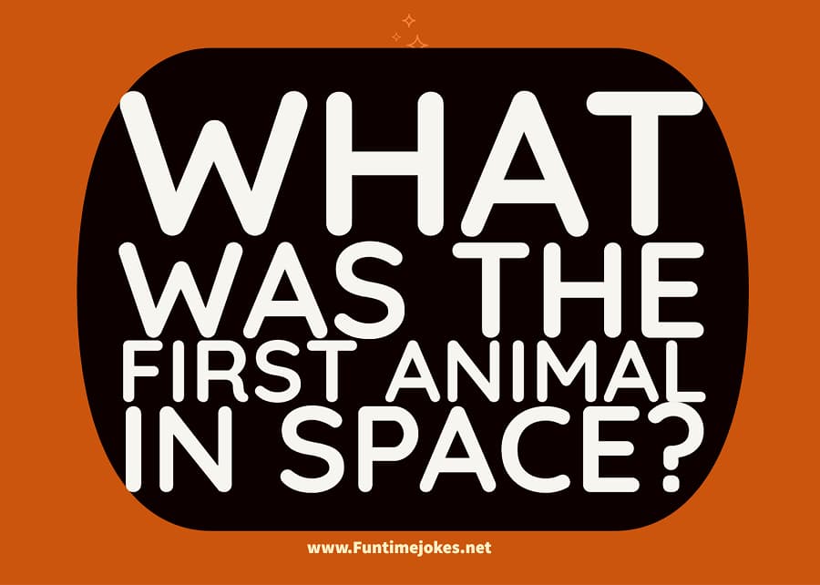 What was the first animal in space?