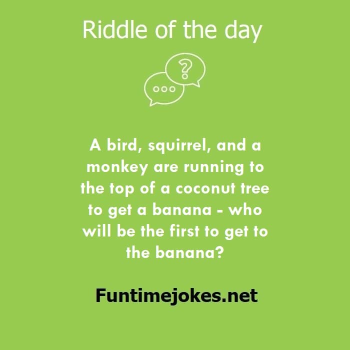 A bird, squirrel, and a monkey are running to the top of a coconut tree to get a banana - who will be the first to get to the banana?