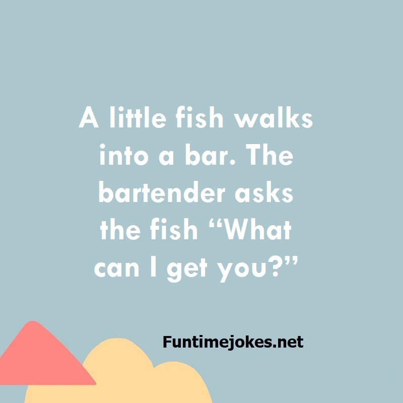 A little fish walks into a bar. The bartender asks the fish “What can I get you?”