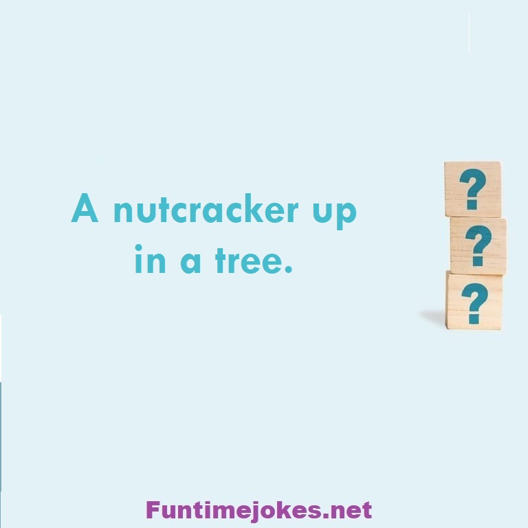A nutcracker up in a tree.