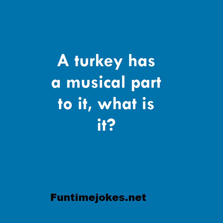 A turkey has a musical part to it, what is it?