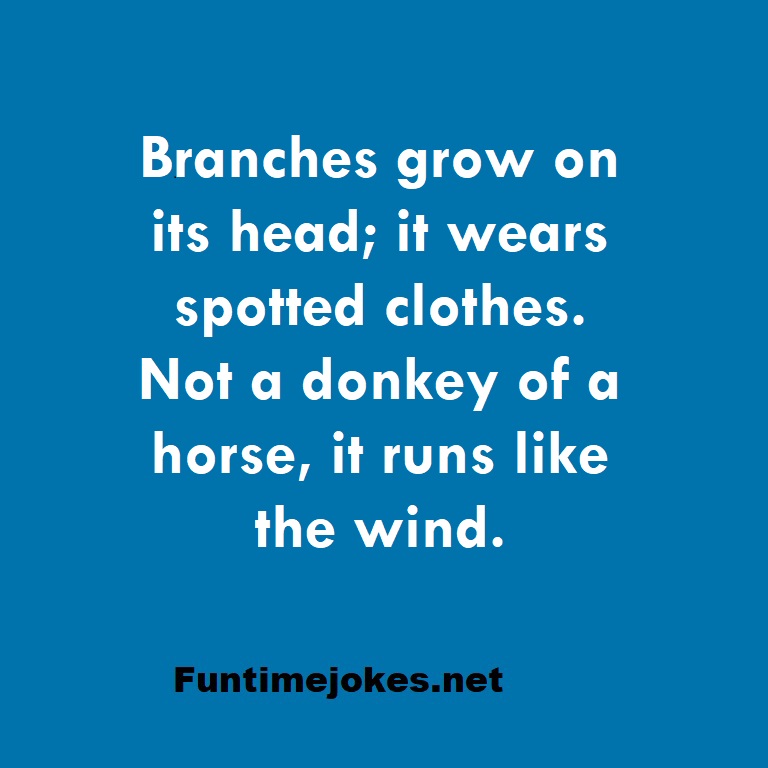 Branches grow on its head; it wears spotted clothes. Not a donkey of a horse, it runs like the wind.
