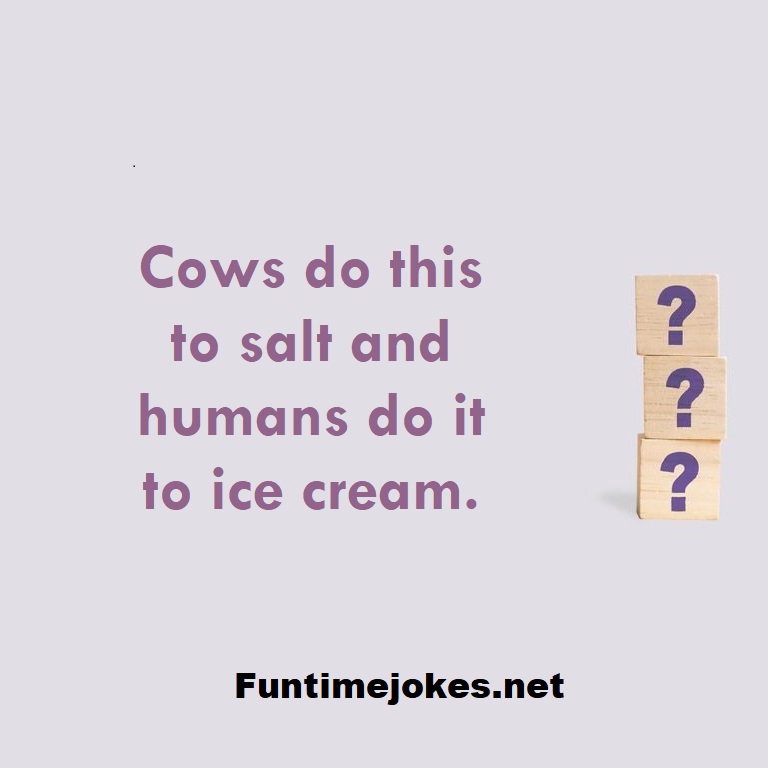 Cows do this to salt and humans do it to ice cream.