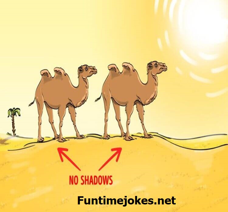  free riddles by funtimjokes.net