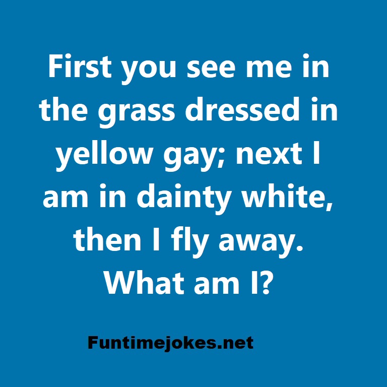 First you see me in the grass dressed in yellow gay; next I am in dainty white, then I fly away. What am I?