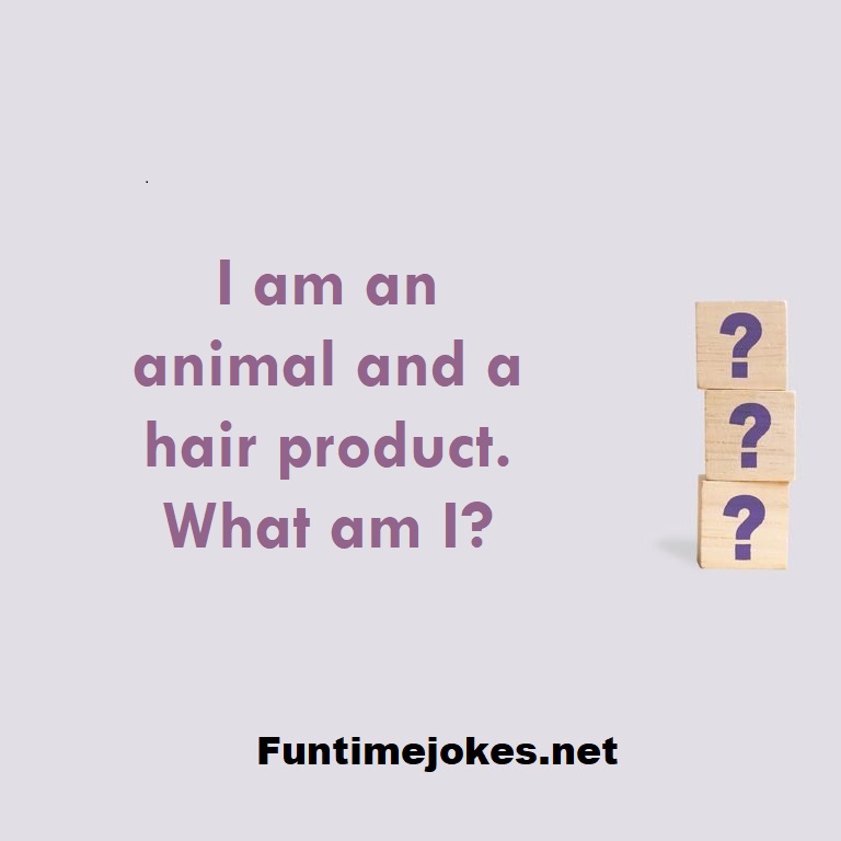 I am an animal and a hair product. What am I?