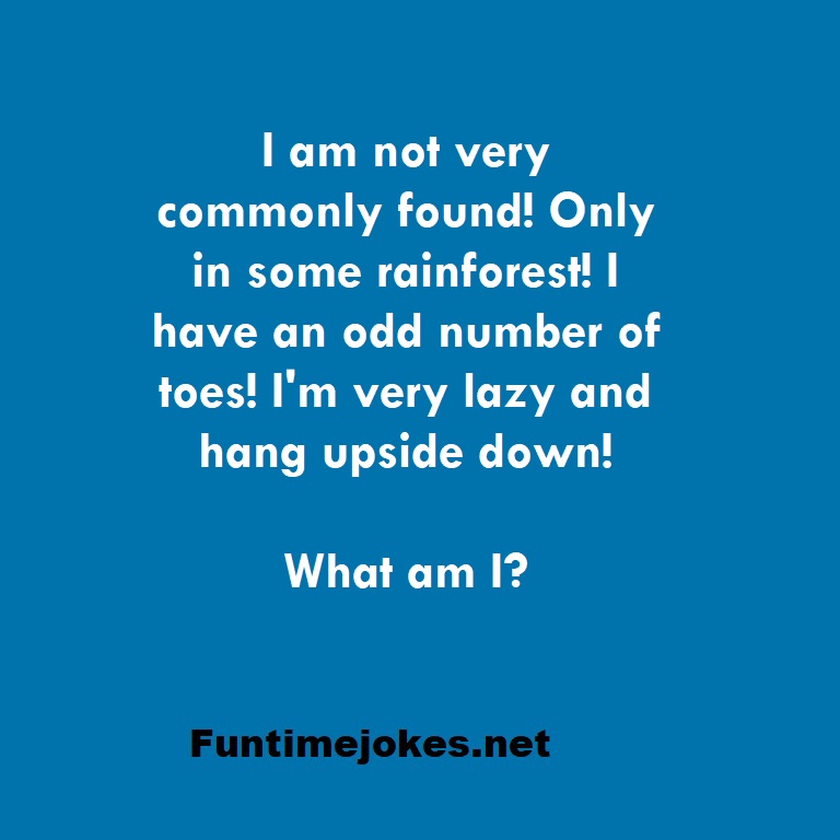 I am not very commonly found! Only in some rainforest! I have an odd number of toes! I'm very lazy and hang upside down! What am I?