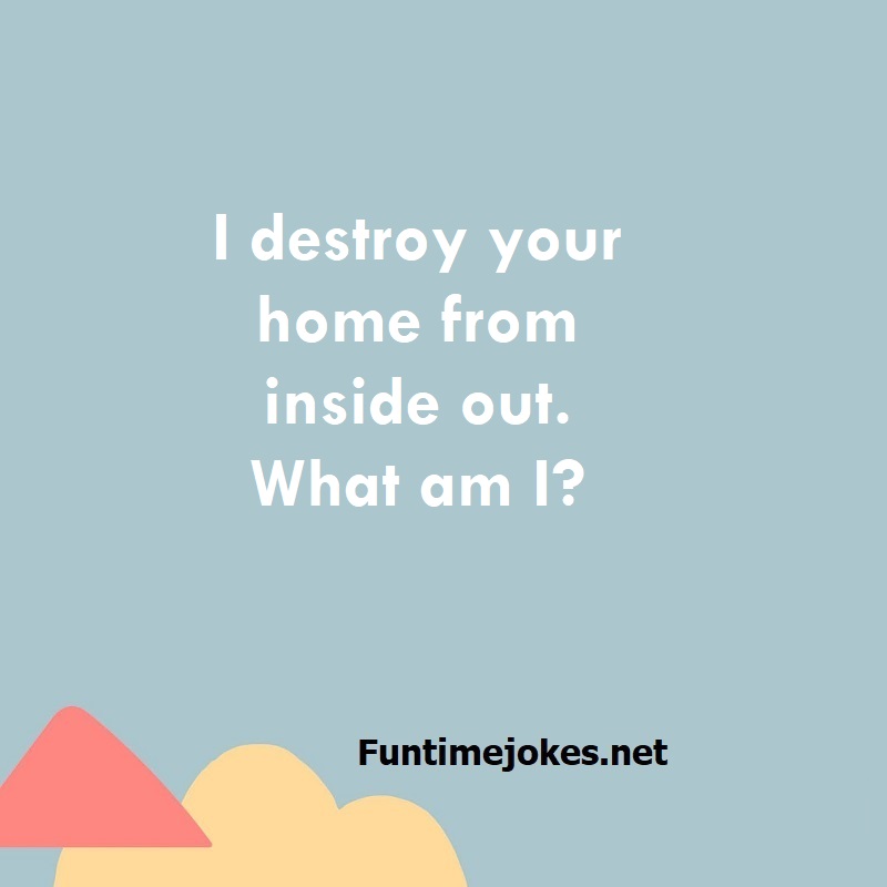 I destroy your home from inside out. What am I?