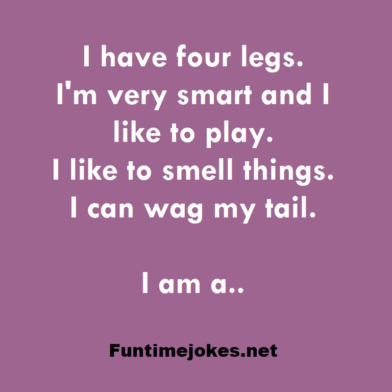 I have four legs. I'm very smart and I like to play. I like to smell things. I can wag my tail. I am a..