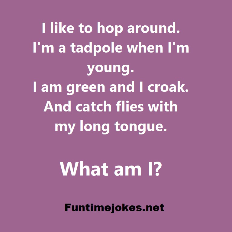 I like to hop around. Iam a tadpole when Iam young. I am green and I croak. And catch flies with my long tongue. What am I?