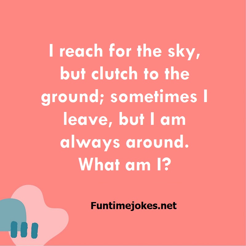 I reach for the sky, but clutch to the ground; sometimes I leave, but I am always around. What am I?