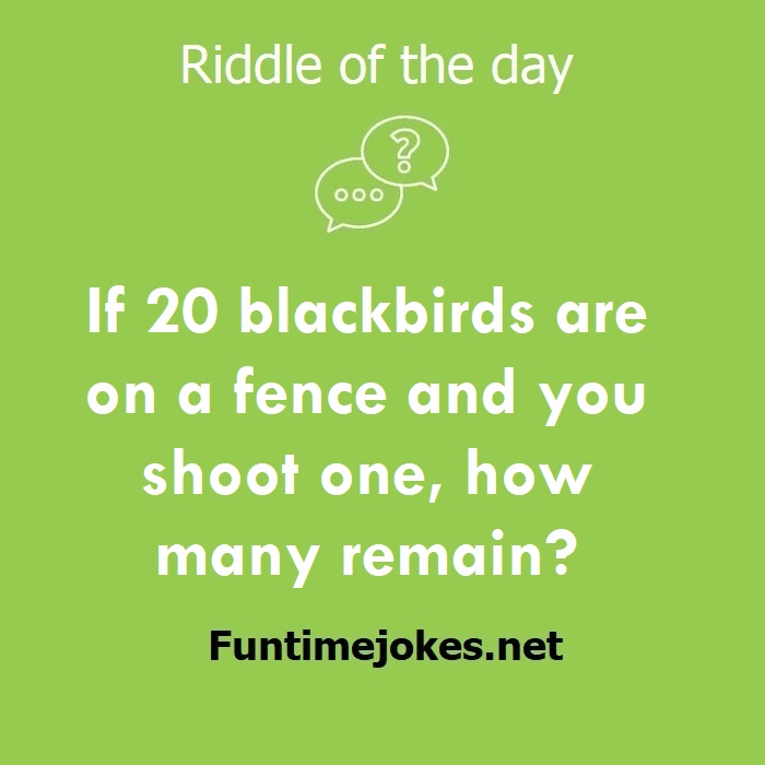 If 20 blackbirds are on a fence and you shoot one, how many remain?