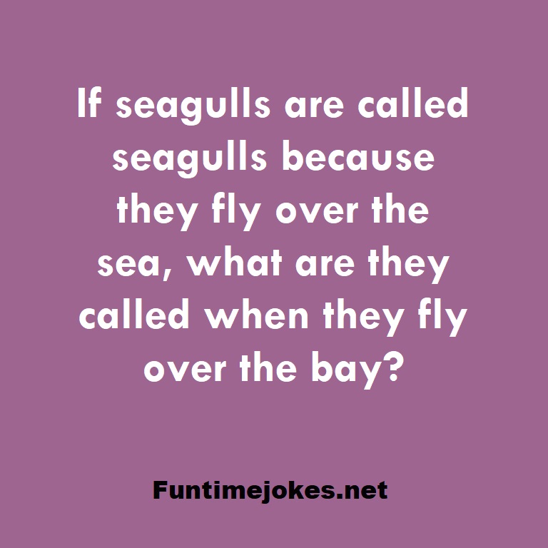 If seagulls are called seagulls because they fly over the sea, what are they called when they fly over the bay?