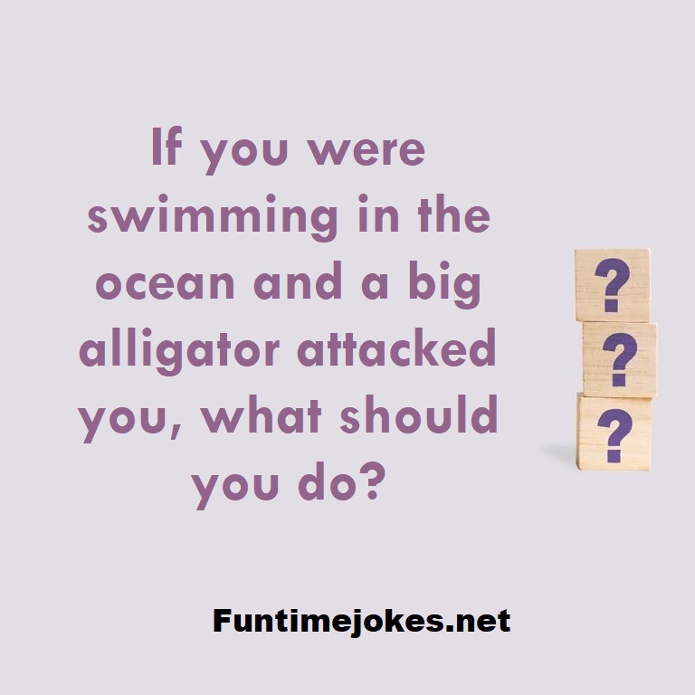 If you were swimming in the ocean and a big alligator attacked you, what should you do?