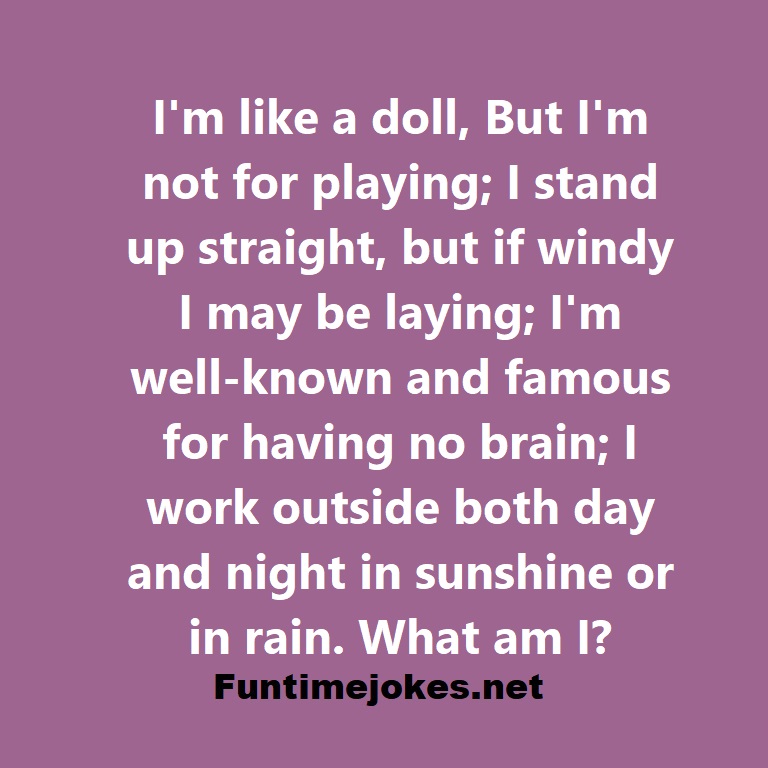 Im like a doll, But Im not for playing; I stand up straight, but if windy I may be laying; Im well-known and famous for having no brain; I work outside both day and night in sunshine or in rain. What am I?