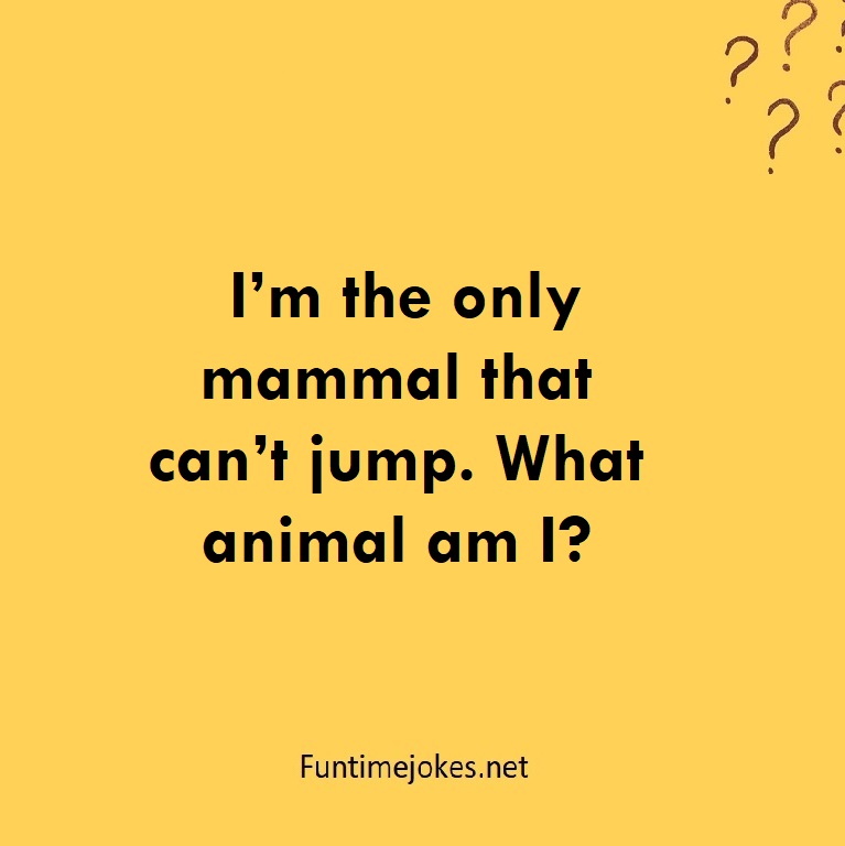 I’m the only mammal that can’t jump. What animal am I?