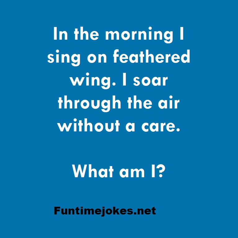 In the morning I sing on feathered wing. I soar through the air without a care. What am I?