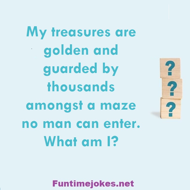 My treasures are golden and guarded by thousands amongst a maze no man can enter. What am I?