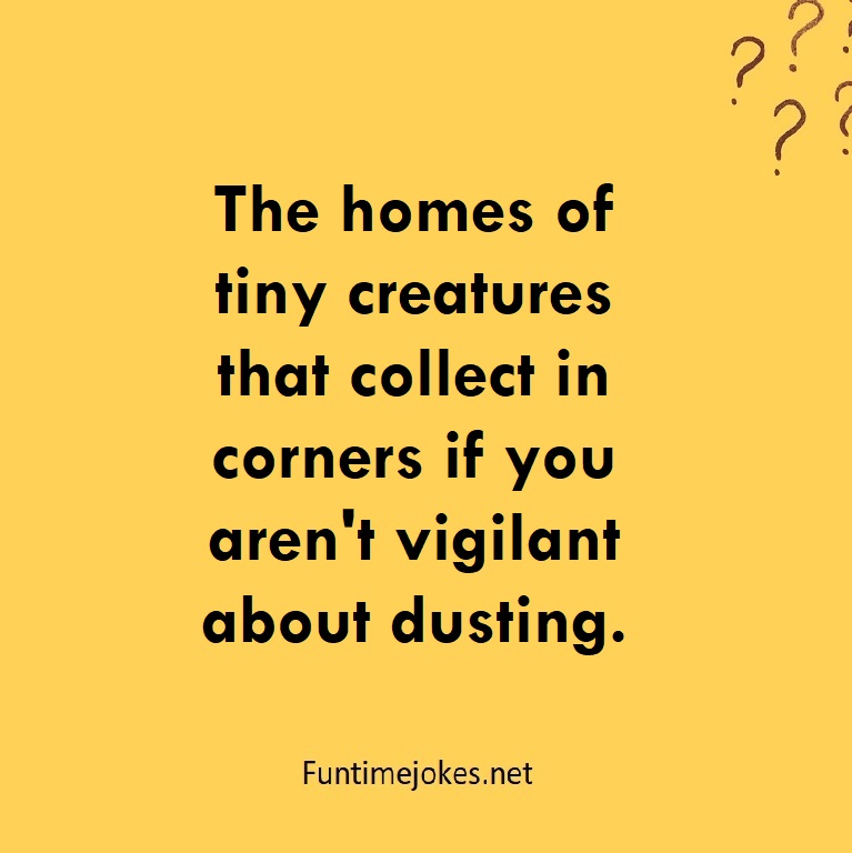 The homes of tiny creatures that collect in corners if you aren't vigilant about dusting.