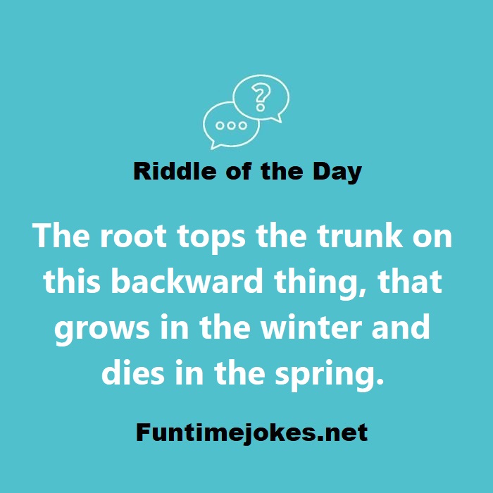 The root tops the trunk on this backward thing, that grows in the winter and dies in the spring.