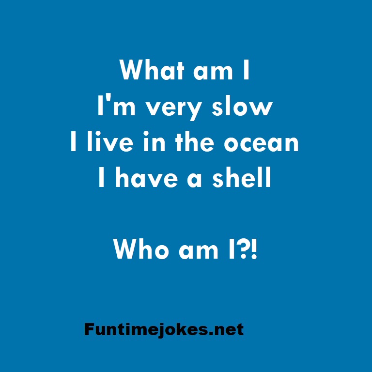 What am I. I'm very slow. I live in the ocean. I have a shell. Who am I?