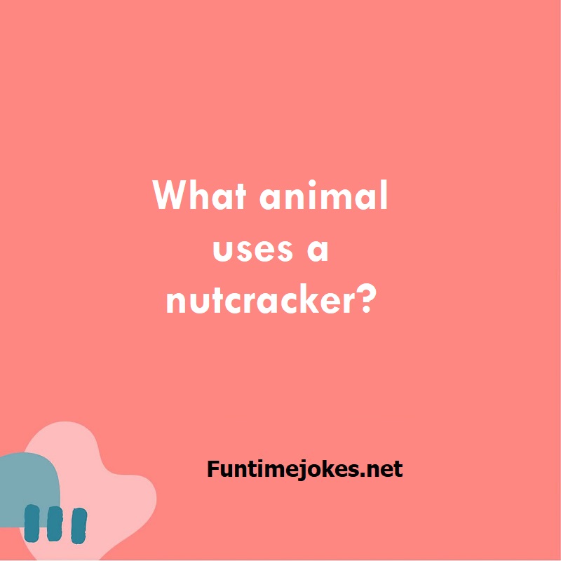 What animal uses a nutcracker?