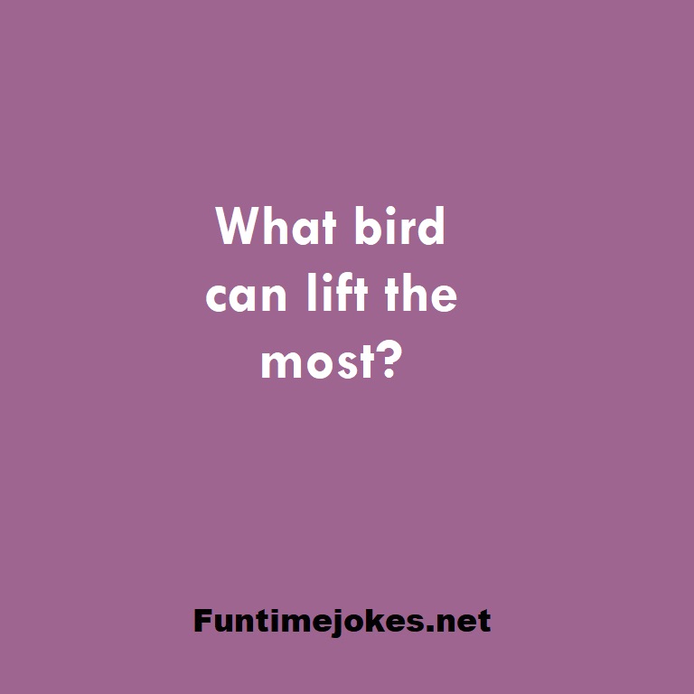 What bird can lift the most?