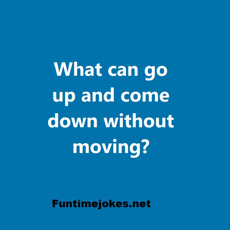 What can go up and come down without moving?