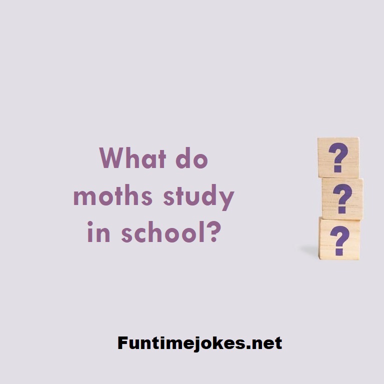 What do moths study in school?