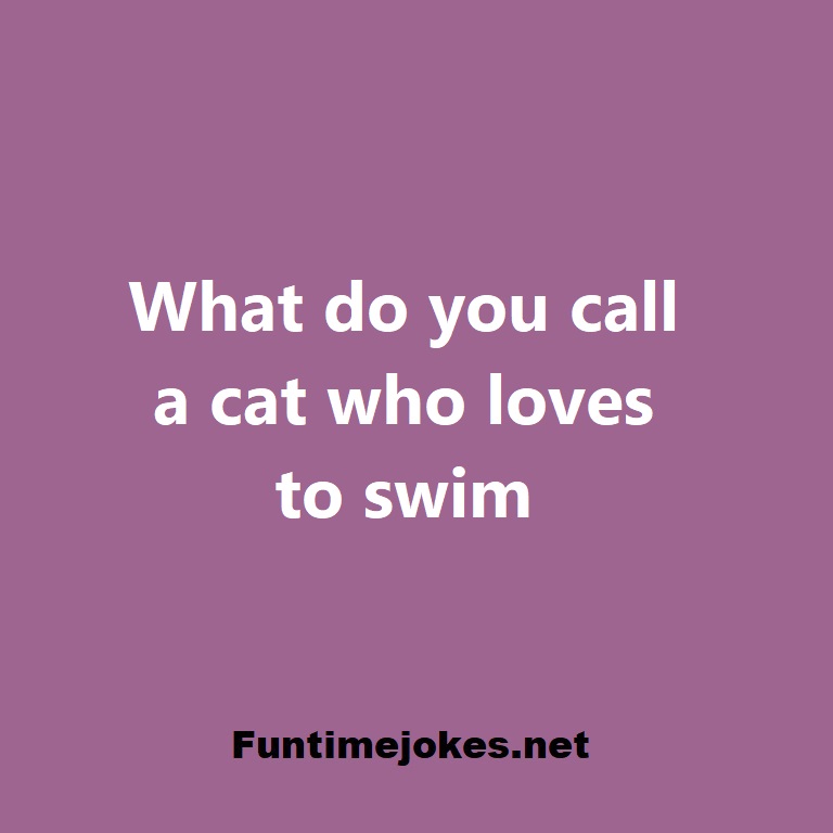 What do you call a cat who loves to swim?