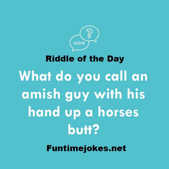 What do you call an amish guy with his hand up a horses butt?