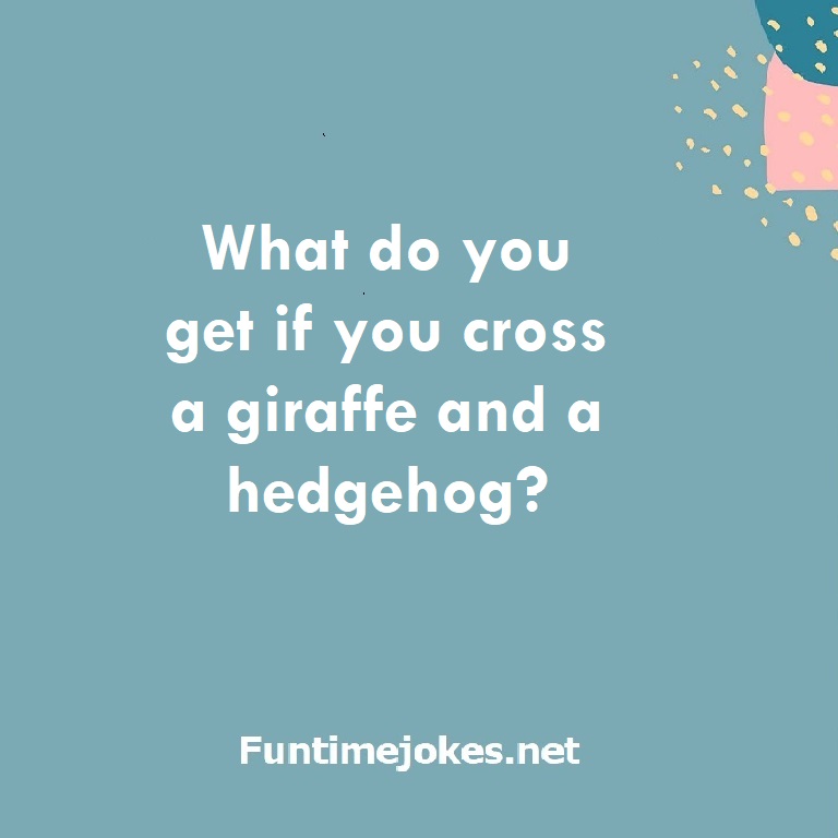What do you get if you cross a giraffe and a hedgehog?
