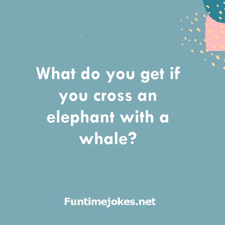 What do you get if you cross an elephant with a whale?