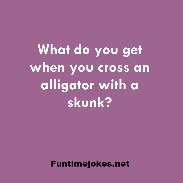What do you get when you cross an alligator with a skunk?