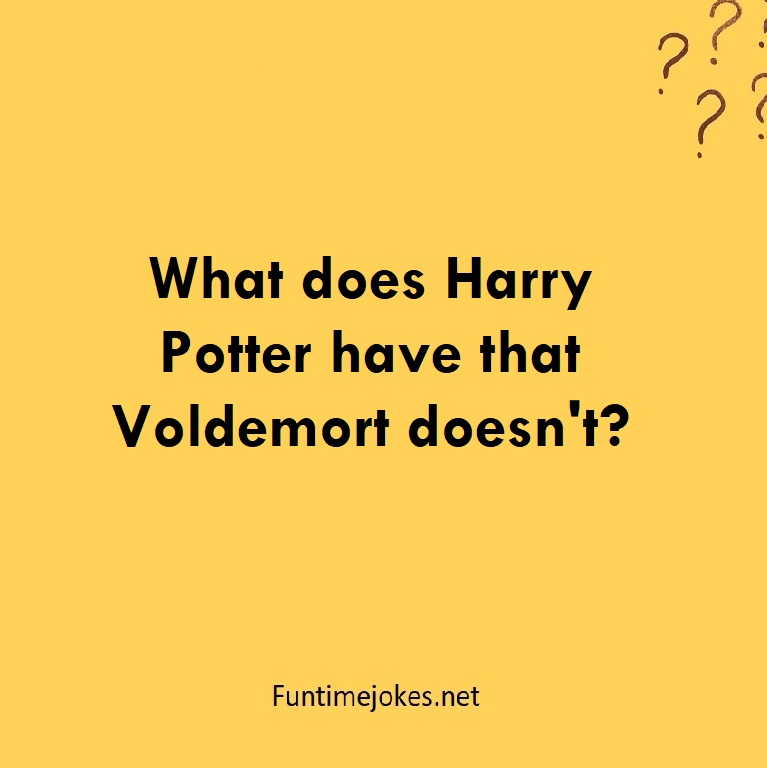 What does Harry Potter have that Voldemort doesn't?