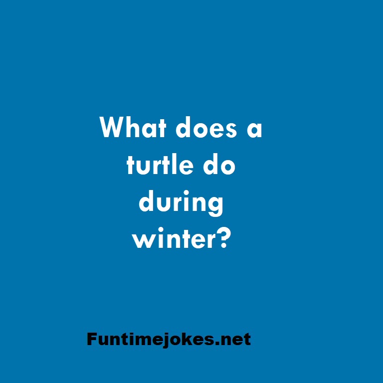 What does a turtle do during winter?