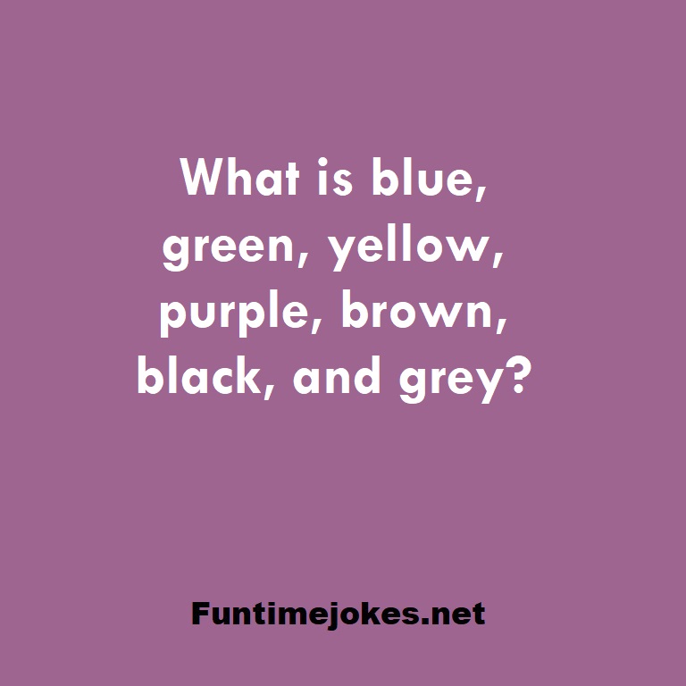 What is blue, green, yellow, purple, brown, black, and grey?