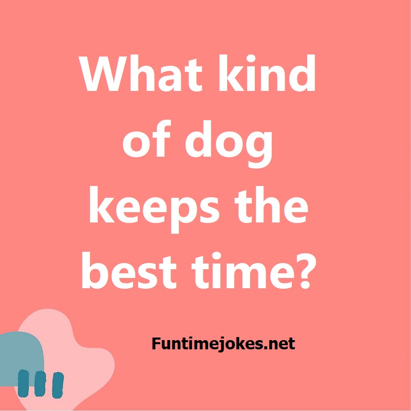 What kind of dog keeps the best time?