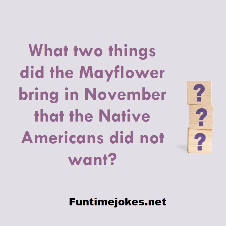 What two things did the Mayflower bring in November that the Native Americans did not want?