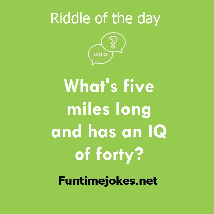 What's five miles long and has an IQ of forty?
