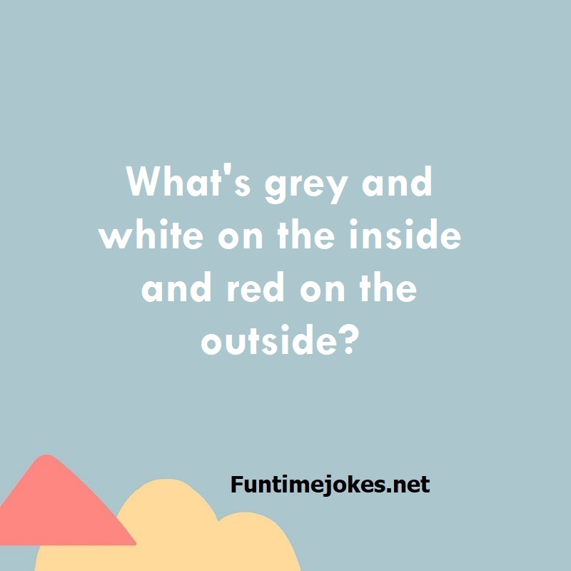 What's grey and white on the inside and red on the outside?