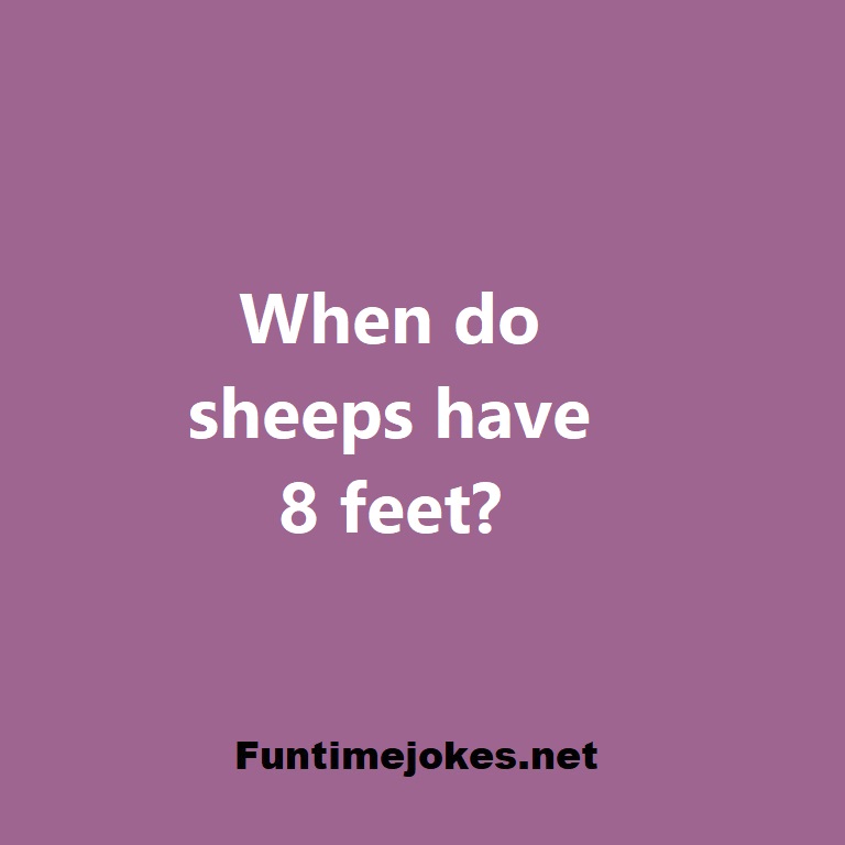 When do sheeps have 8 feet?