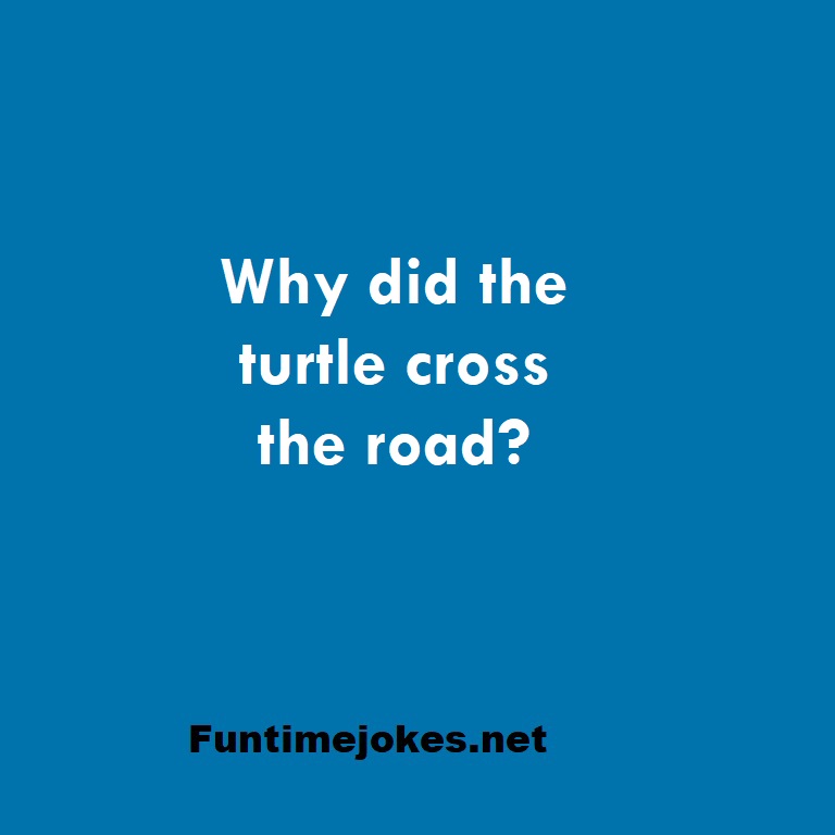 Why did the turtle cross the road?