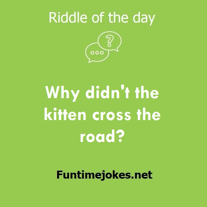 Why didn't the kitten cross the road?
