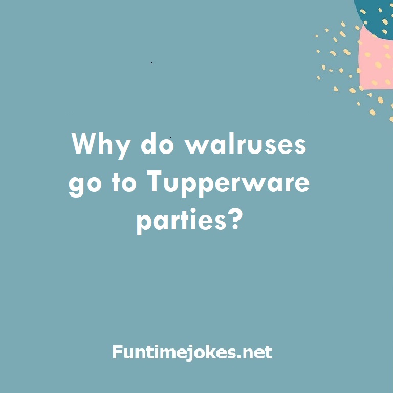 Why do walruses go to Tupperware parties?