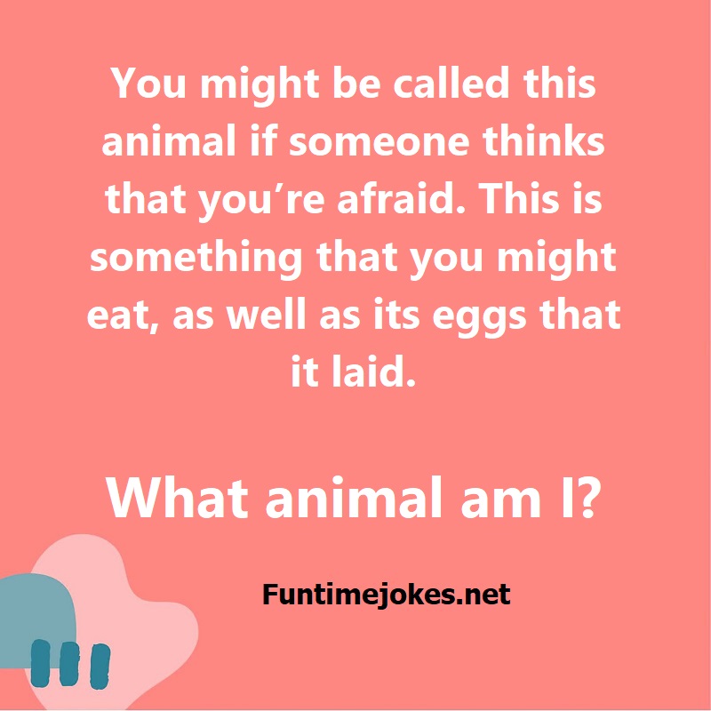 You might be called this animal if someone thinks that you are afraid. This is something that you might eat, as well as its eggs that it laid. What animal am I?
