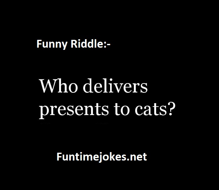 fun riddles jokes