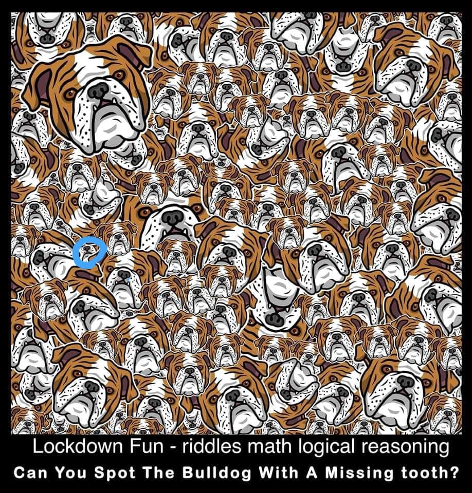  free riddles by funtimjokes.net