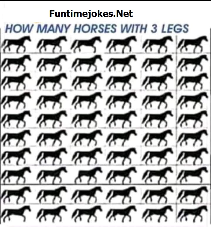 how many horse with 3 legs