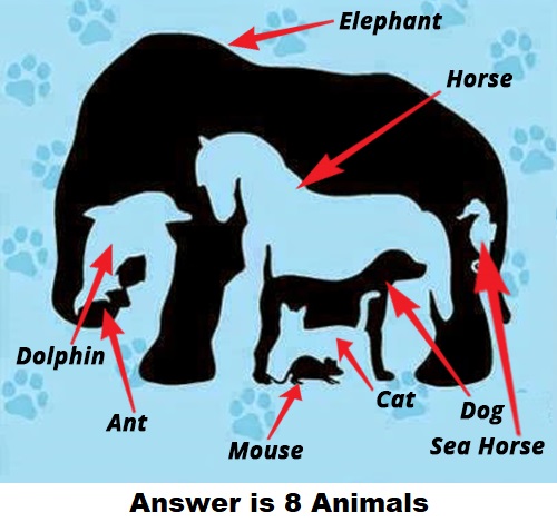  free riddles by funtimjokes.net